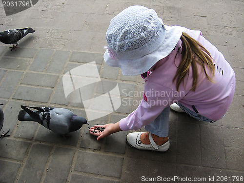 Image of The girl feeding the pigeons