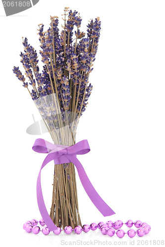 Image of Lavender Herb Flowers