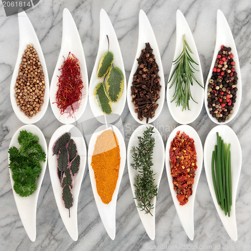 Image of Spices and Herbs