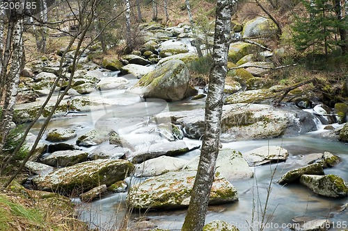 Image of Belokurikha river.