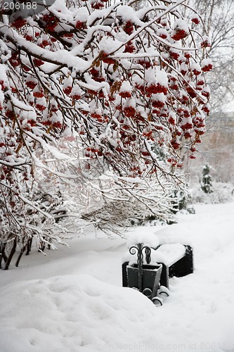 Image of After snowstorm. Street lamp.