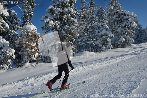 Image of winter  people fun and ski