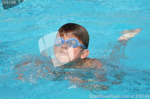 Image of Swimming