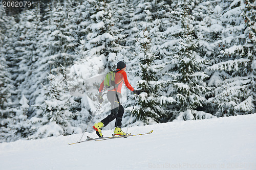 Image of winter  people fun and ski