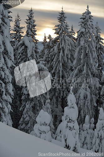 Image of mountain winter landscape