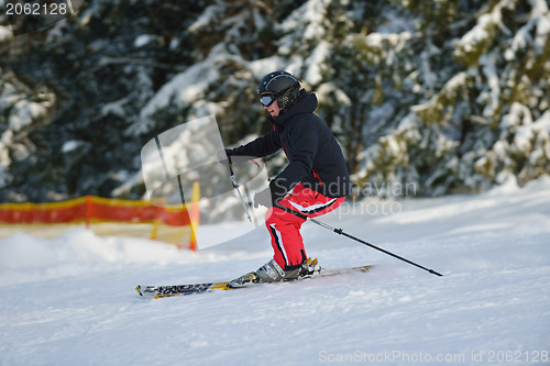 Image of winter  people fun and ski