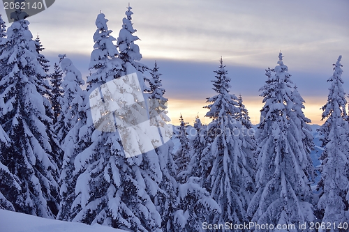 Image of mountain winter landscape