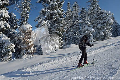 Image of winter  people fun and ski