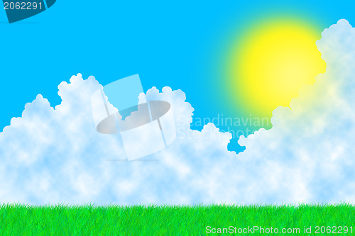 Image of Grass on a sunny day