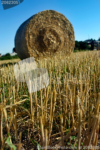 Image of Hay field