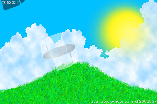 Image of Grass on a sunny day