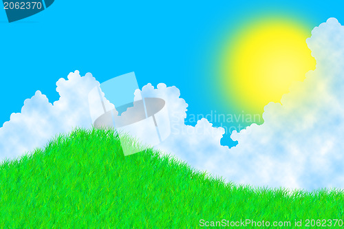 Image of Grass on a sunny day