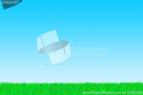 Image of Grass on a sunny day