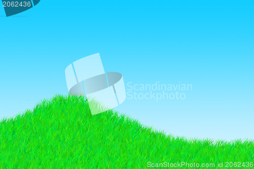 Image of Grass on a sunny day