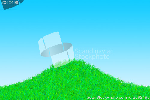 Image of Grass on a sunny day