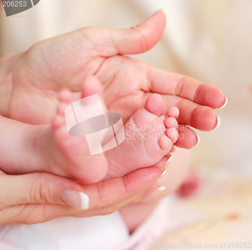 Image of baby feet