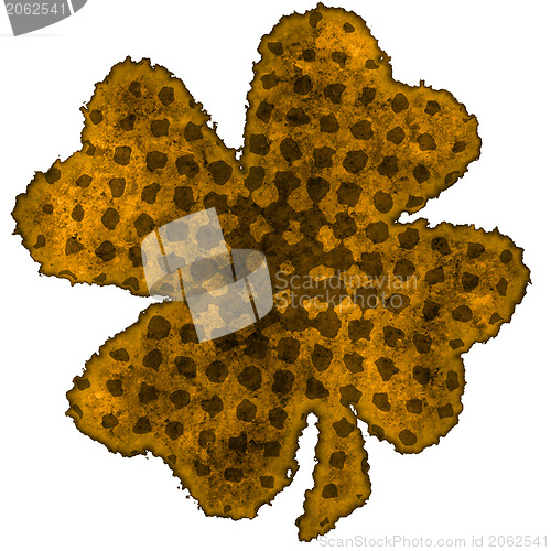 Image of Shamrock burnt parchment