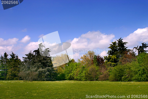 Image of Park