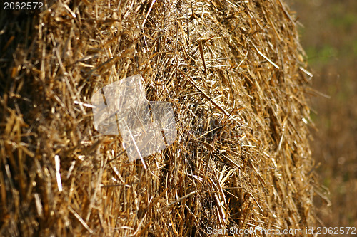 Image of Hay bale