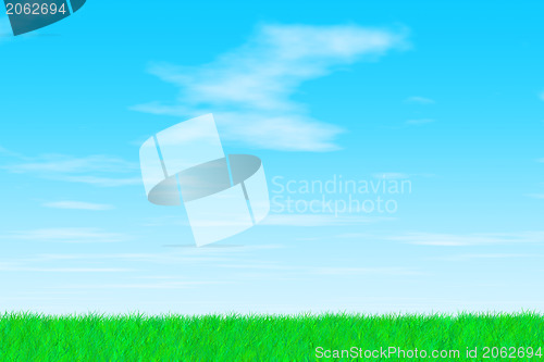 Image of Grass on a sunny day