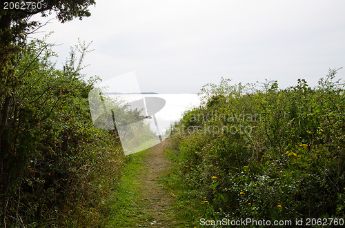 Image of footpath