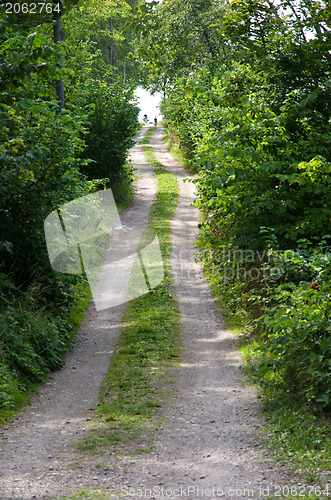 Image of Road to beach