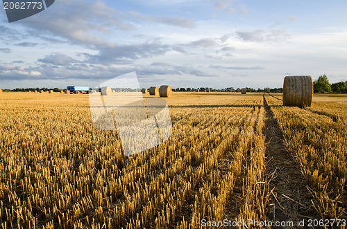 Image of Strawbales