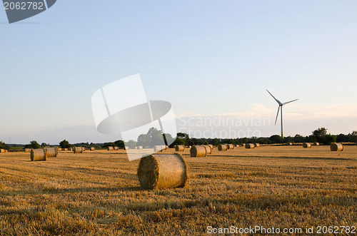 Image of Strawbales