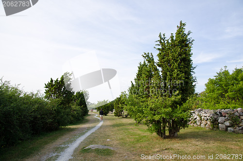 Image of footpath