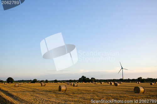 Image of Harvest