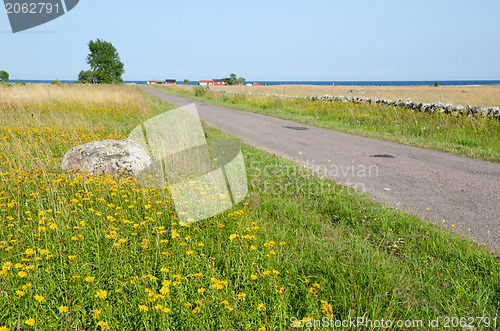 Image of Yellow flowers