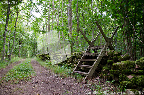 Image of Stile in the woods