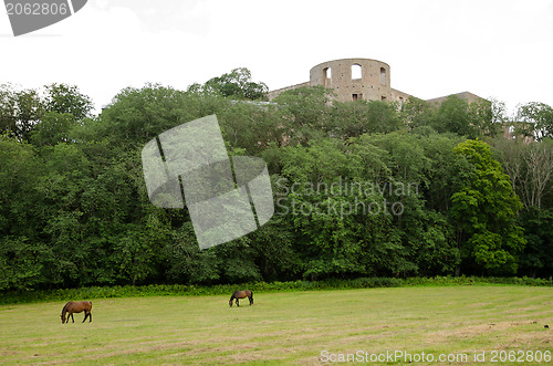 Image of Ruin