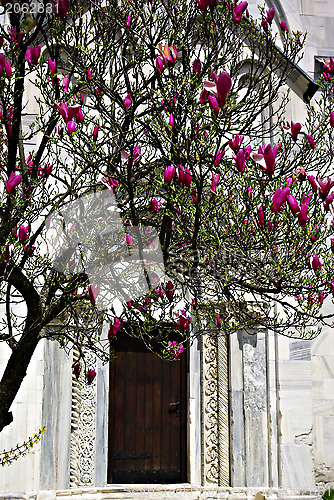 Image of Studenica Monastery