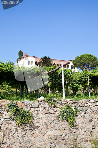 Image of Italian charming villa in vineyard