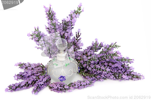 Image of Lavender Flower Scent