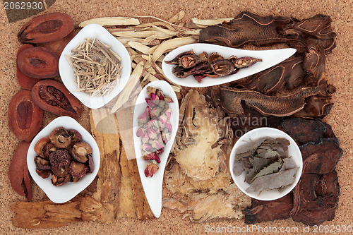 Image of Chinese Herbal Medicine