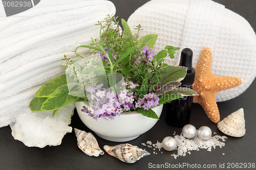 Image of Herb Spa Treatment