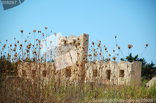 Image of Ruin