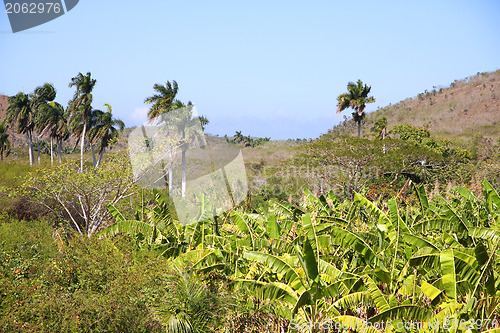 Image of Cuba