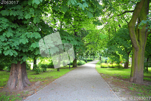 Image of Kalisz park