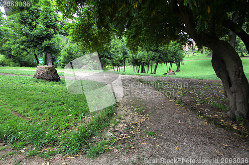 Image of Park in Rome, Italy