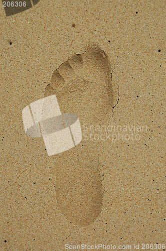 Image of Footprint