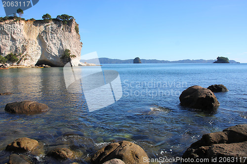 Image of Coromandel