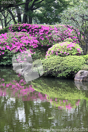 Image of Tokyo garden