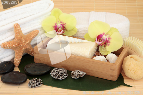 Image of Tropical Spa Treatment