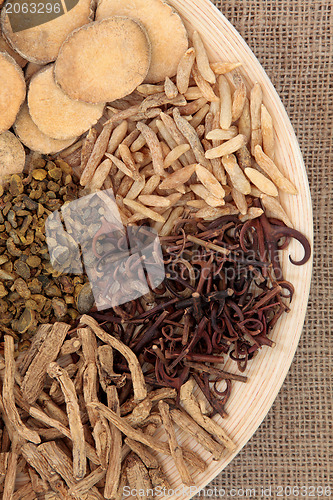 Image of Chinese Medicinal Herbs