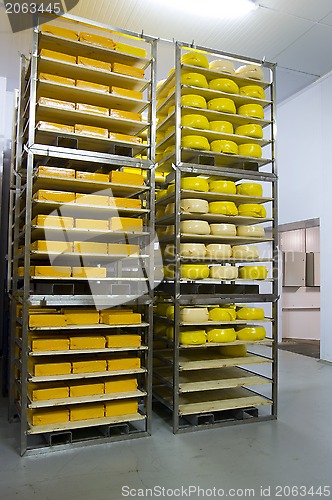 Image of cheese