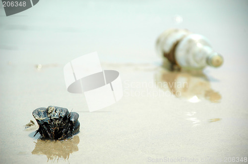 Image of Coconut and bottle