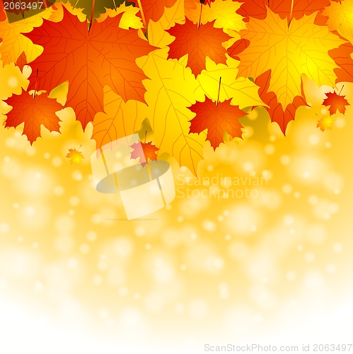 Image of Colourful autumn background